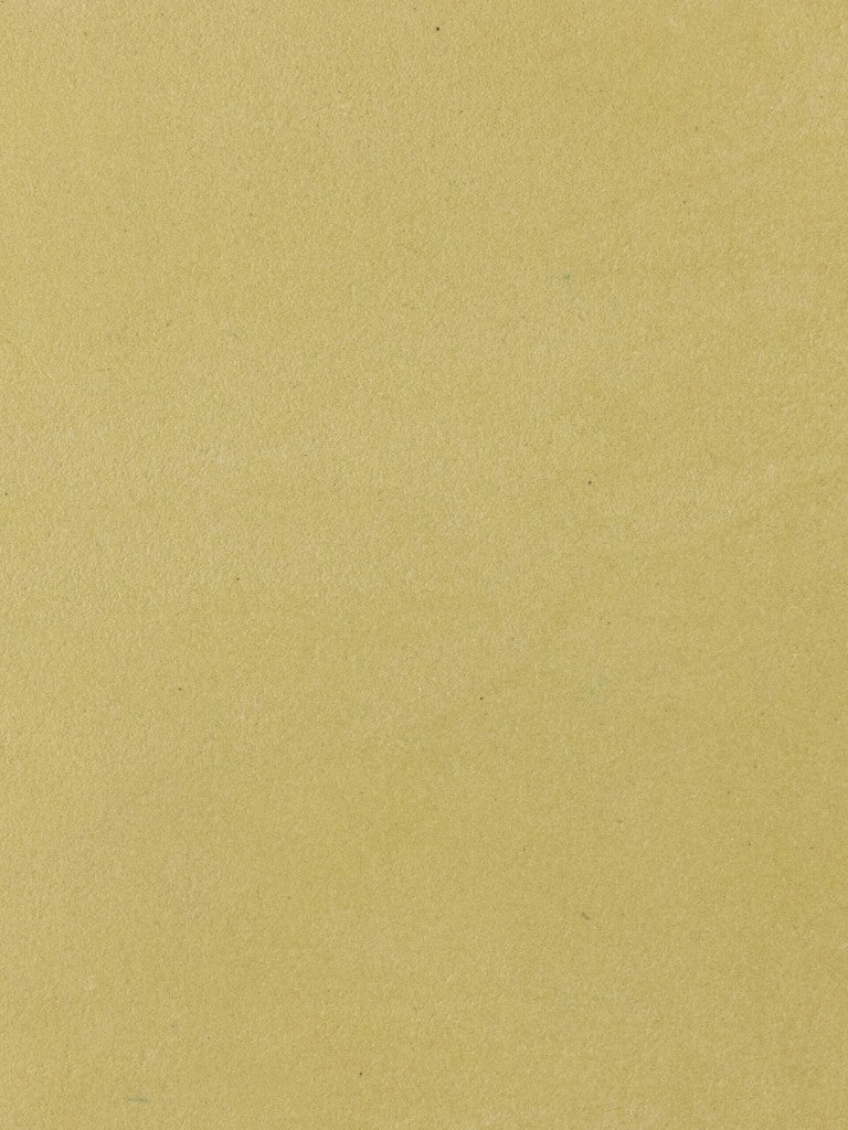 PL-09 Olive